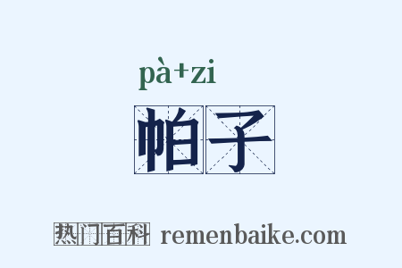 帕子是什么意思的图片